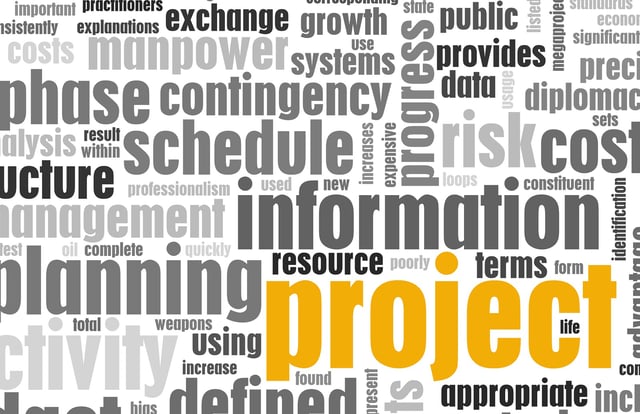 Microsoft Project Server Microsoft Project Server