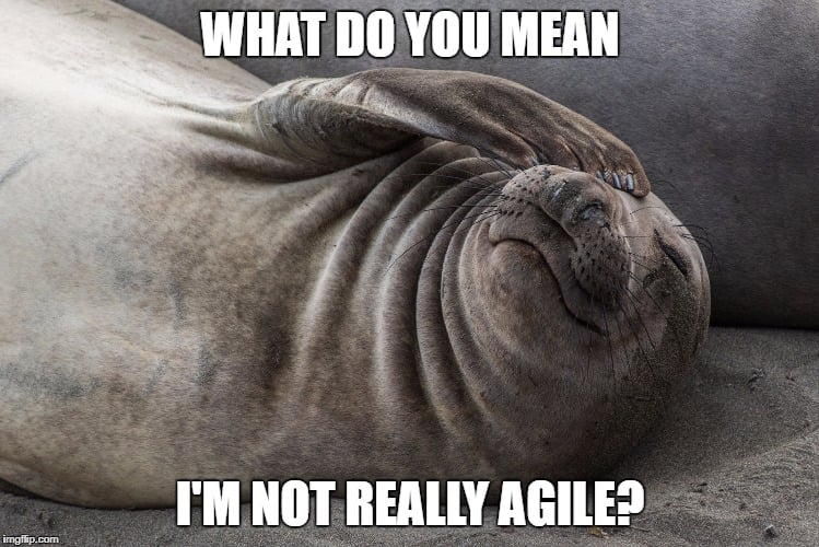 10 Tell-Tale Signs You’re Not As Agile As You Think